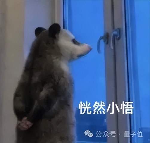 队报：柔佛新山马来西亚联赛113场不败创世界纪录