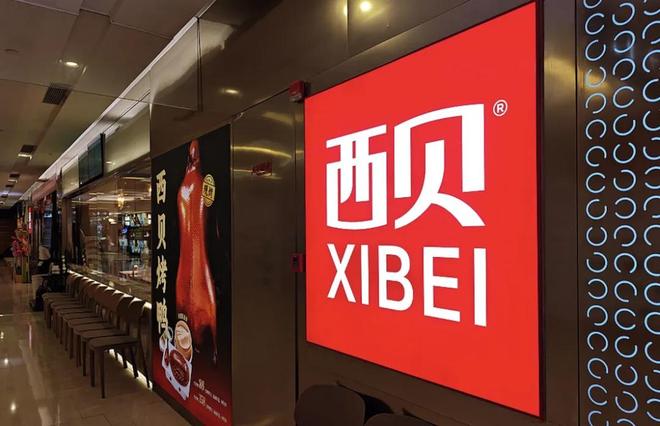 正式官宣!斯蒂尔加盟山东男篮,替换克里斯,邱彪冲击前四
