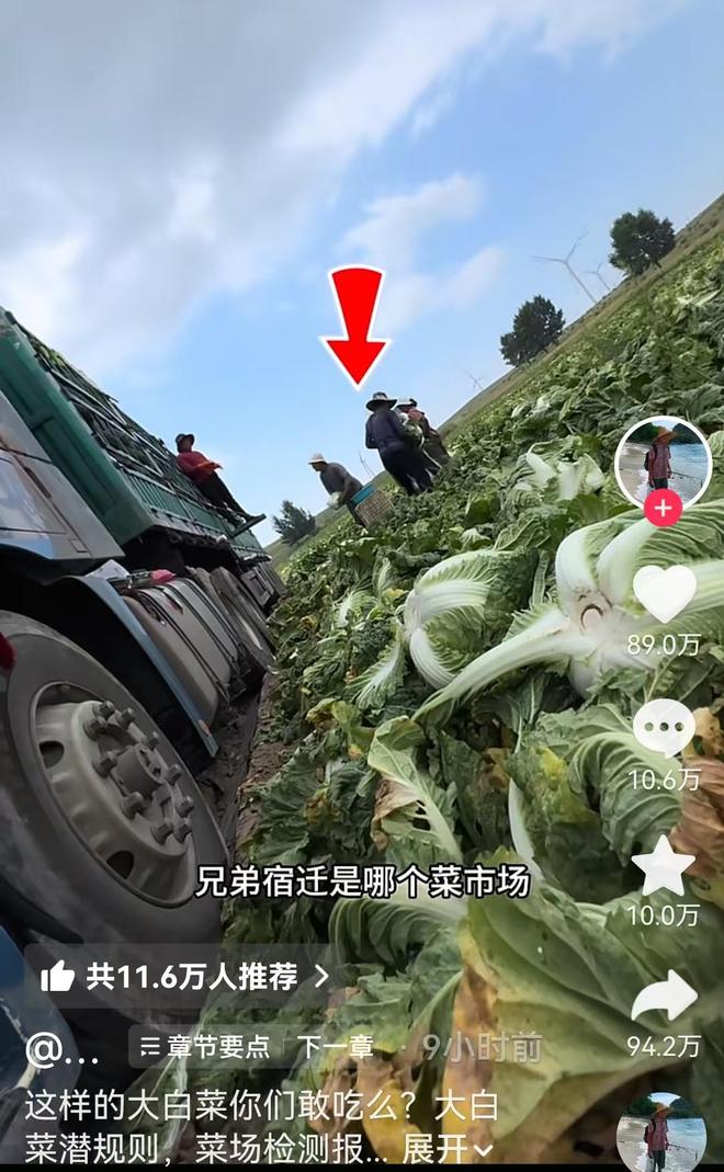 好孩子去哪儿?从丁俊晖到张雪、董路,一场跨越数十年的身份盘活